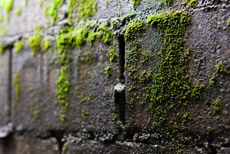 Quelle isolation des murs choisir pour votre logement &agrave; Al&egrave;s ?